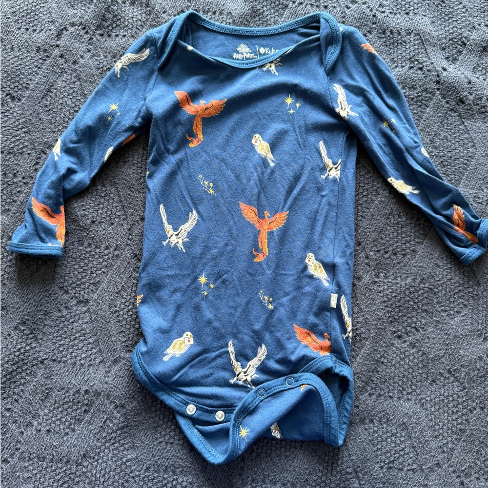 Kyte Baby: Long Sleeve Bodysuit in Flight 18-24 M
